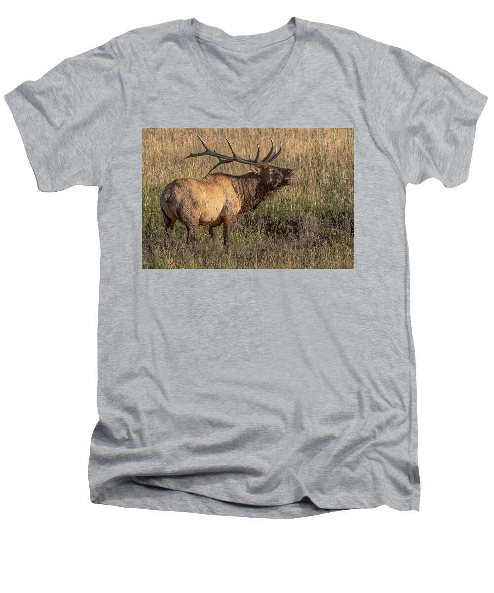 Nature Men's V-Neck T-Shirt featuring the photograph Bugling Bull Elk 7777 by Donald Brown