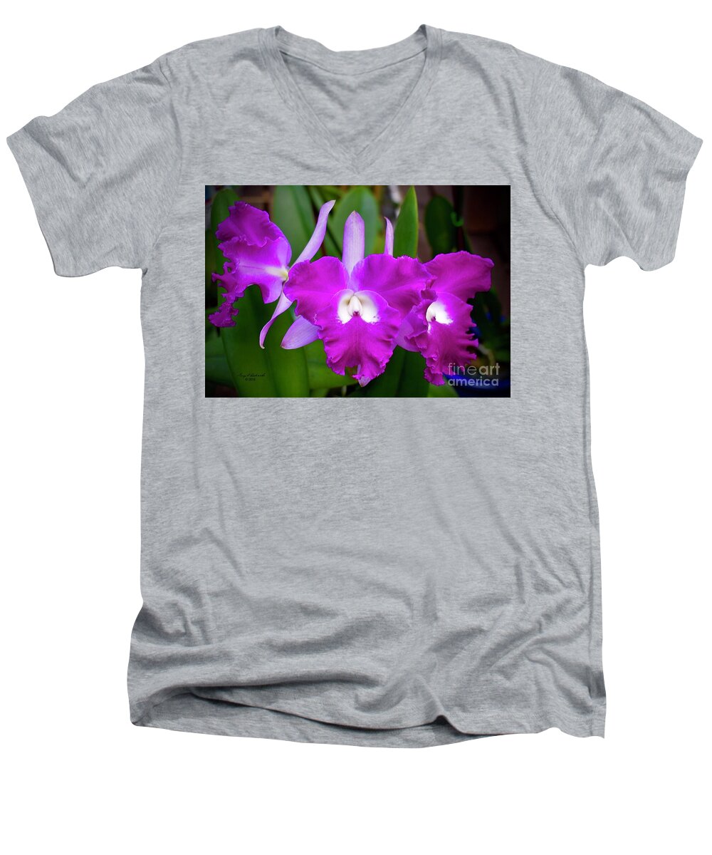 #cattleya #orchid #pink #garyfrichards #gary #richards #petals #ruffledpetals #white #blooms #blooms #marieselbybotanicalgarden #botanical #garden #sarasota #florida #usa Men's V-Neck T-Shirt featuring the photograph Cattleya Orchid Pink by Gary F Richards