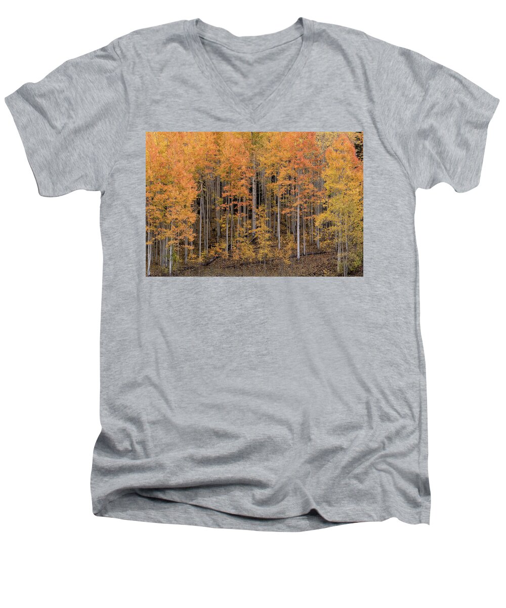 Aspens Men's V-Neck T-Shirt featuring the photograph Colorado Guardians by Angela Moyer