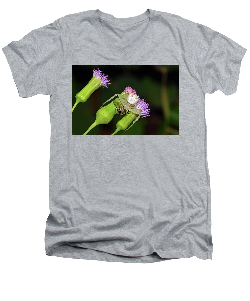 Photograph Men's V-Neck T-Shirt featuring the photograph Crab Spider with Bee by Larah McElroy