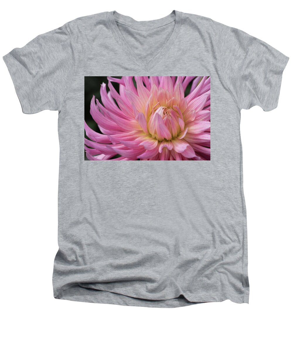 105mm Men's V-Neck T-Shirt featuring the photograph Dahlia Anemone by Laura Macky