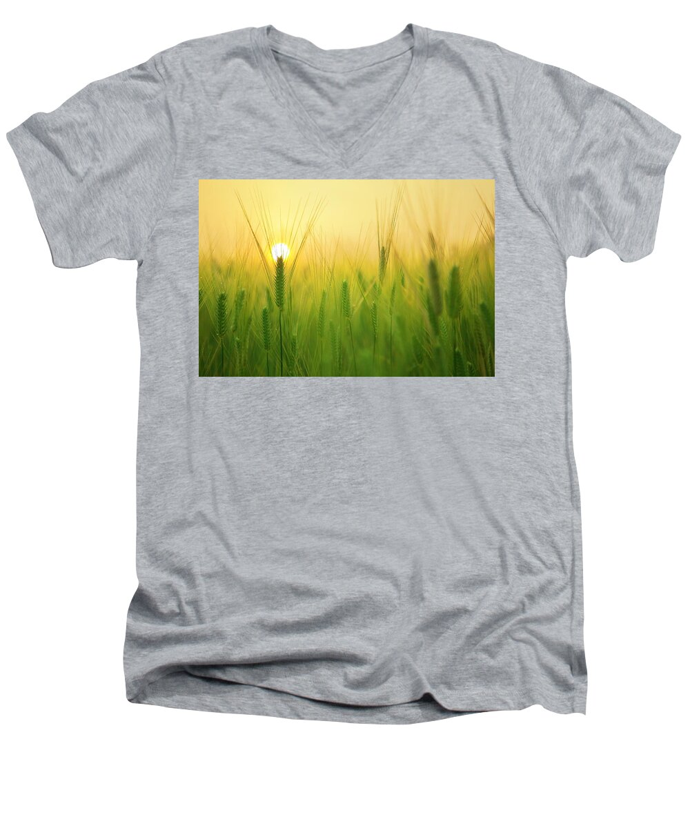 Photo Men's V-Neck T-Shirt featuring the photograph Dawn at the wheat field by Top Wallpapers