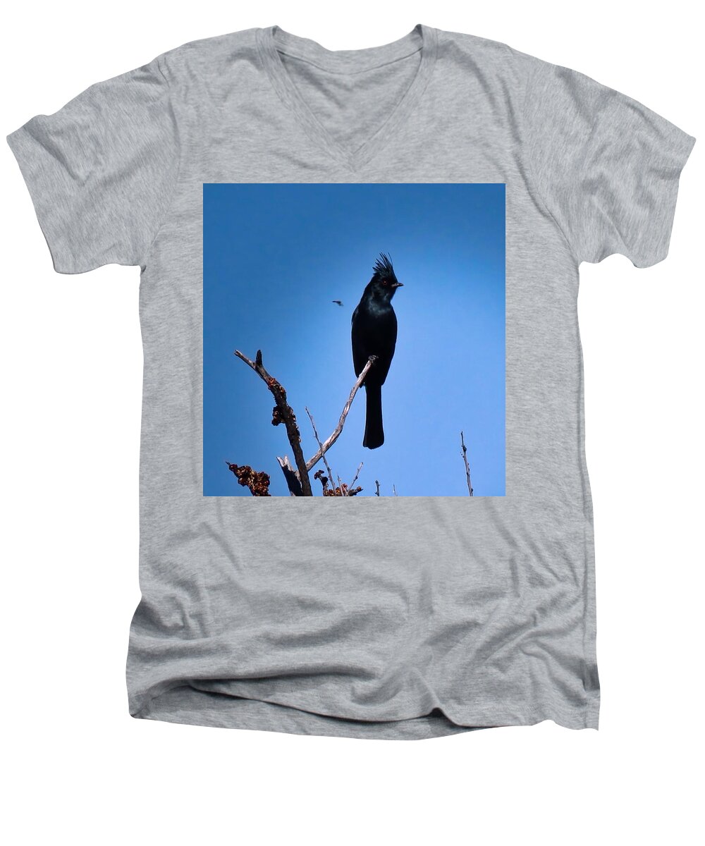 Arizona Men's V-Neck T-Shirt featuring the photograph Desert Phainopepla and Dragonfly by Judy Kennedy