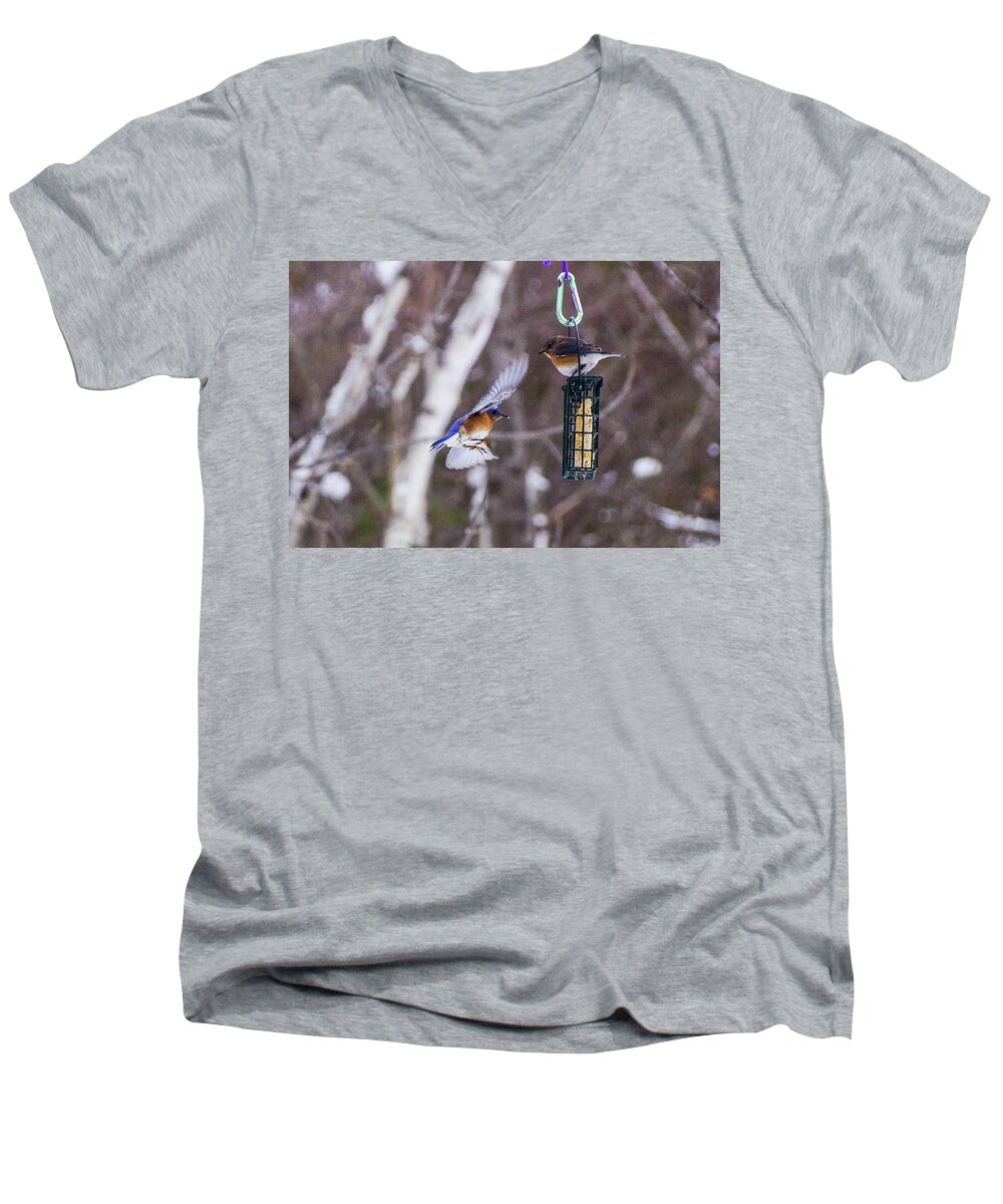 Bird Men's V-Neck T-Shirt featuring the photograph Docking Bluebird by Rockybranch Dreams