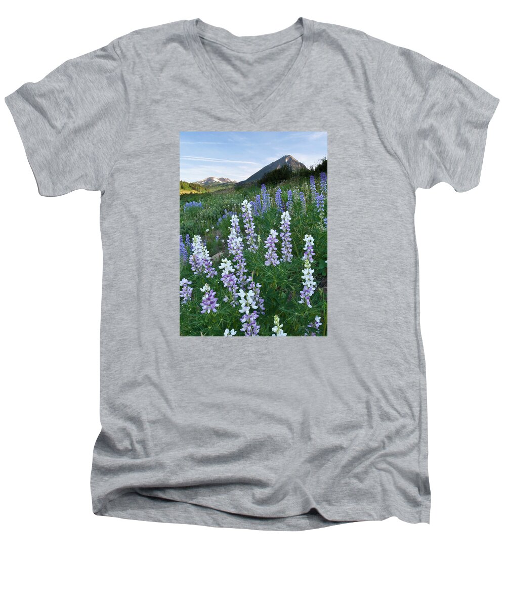 Lupine Men's V-Neck T-Shirt featuring the photograph Early Morning Lupine Mountain Portrait by Cascade Colors