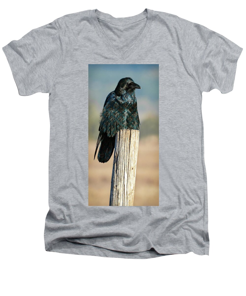 Raven Men's V-Neck T-Shirt featuring the photograph Feeling Fancy by Mary Hone
