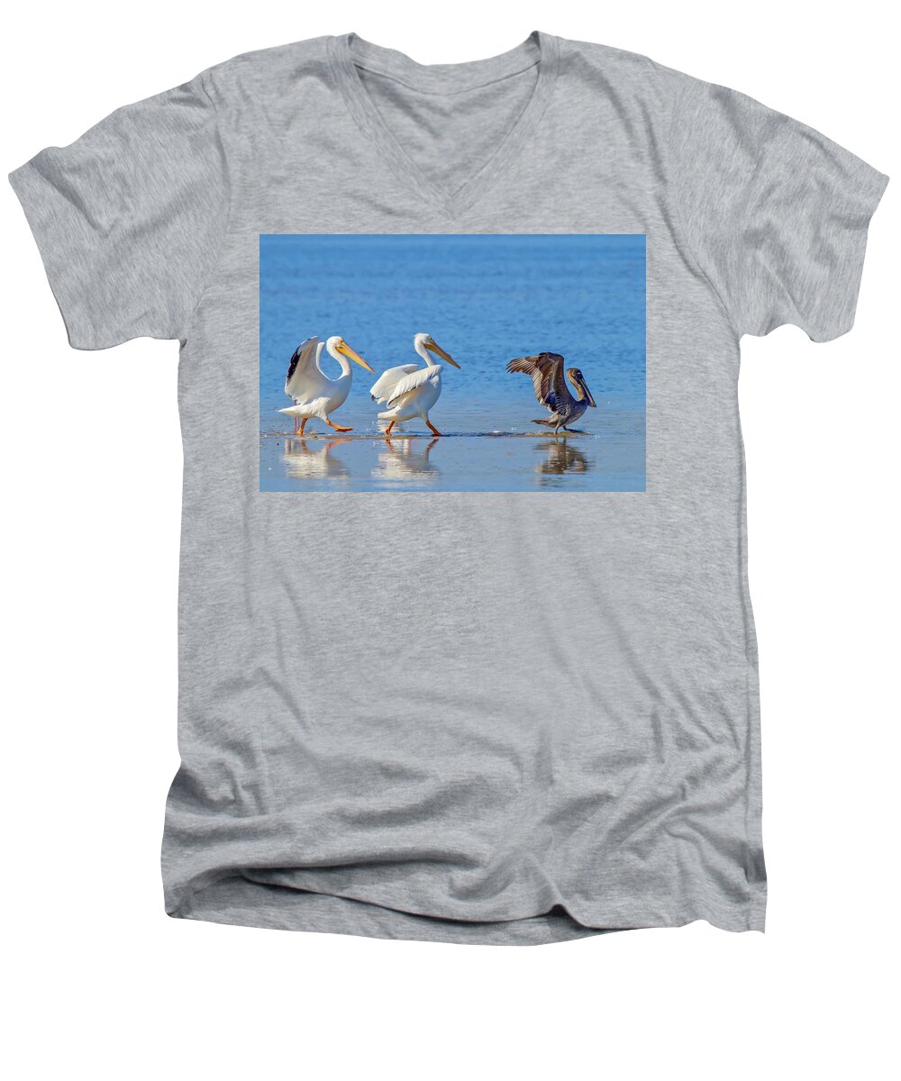 Pelican Men's V-Neck T-Shirt featuring the photograph Follow the Leader by Susan Rydberg