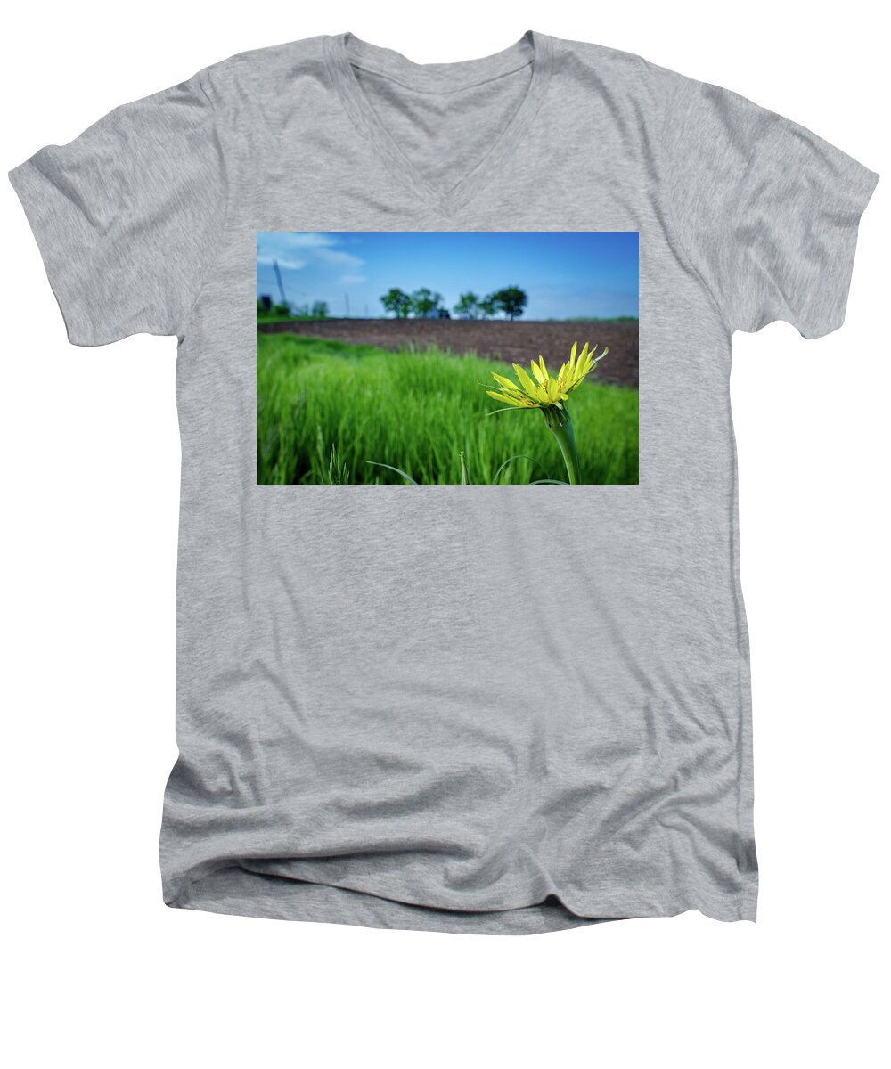 Flower Men's V-Neck T-Shirt featuring the photograph Goat's Beard on Nelson Farm II by Jeff Phillippi