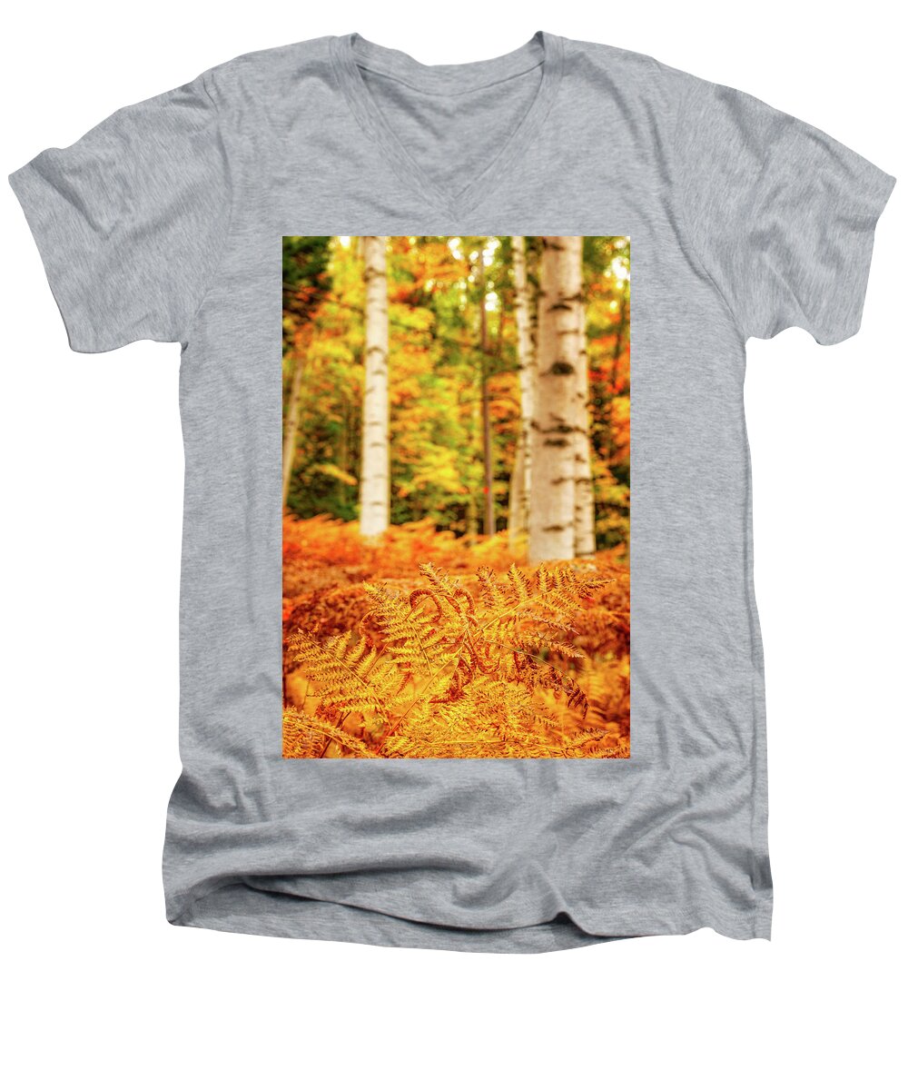 Autumn Men's V-Neck T-Shirt featuring the photograph Golden Ferns In The Birch Glade by Jeff Sinon