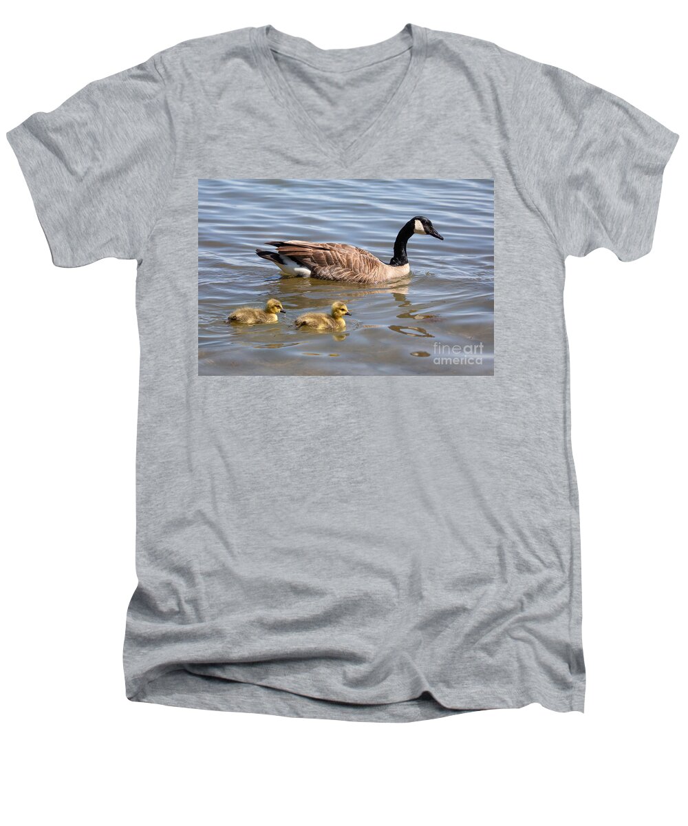 Photography Men's V-Neck T-Shirt featuring the photograph Goslings swimming with Parent by Alma Danison