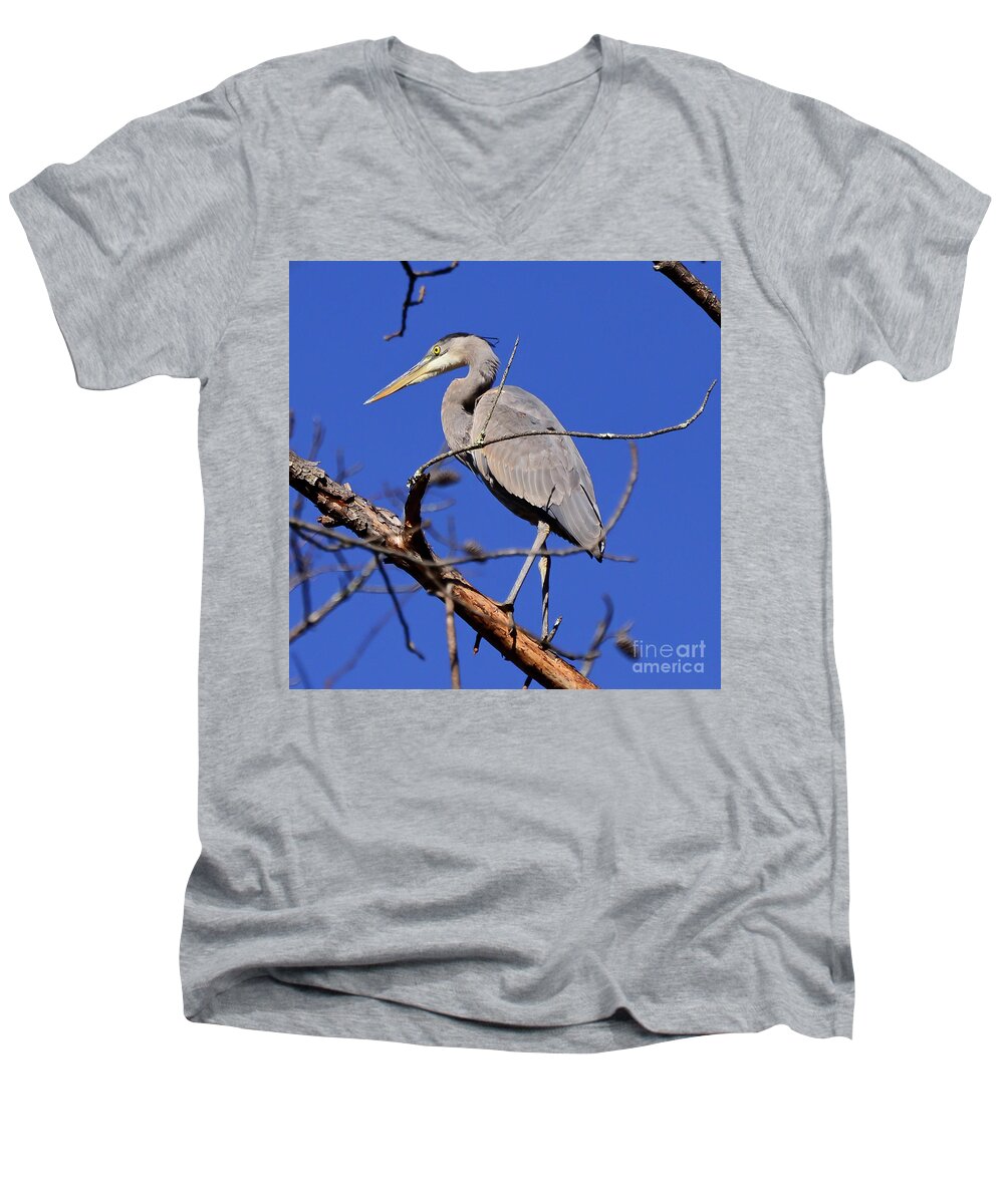 Great Blue Heron Men's V-Neck T-Shirt featuring the photograph Great Blue Heron Strikes A Pose by Kerri Farley