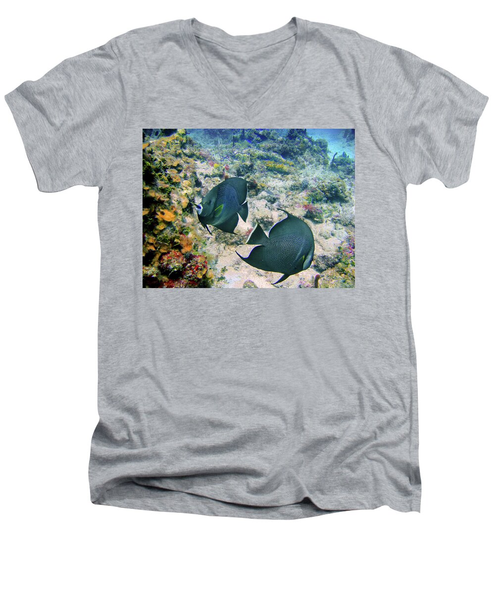 Grey Angelfish Men's V-Neck T-Shirt featuring the photograph Grey Play by Climate Change VI - Sales