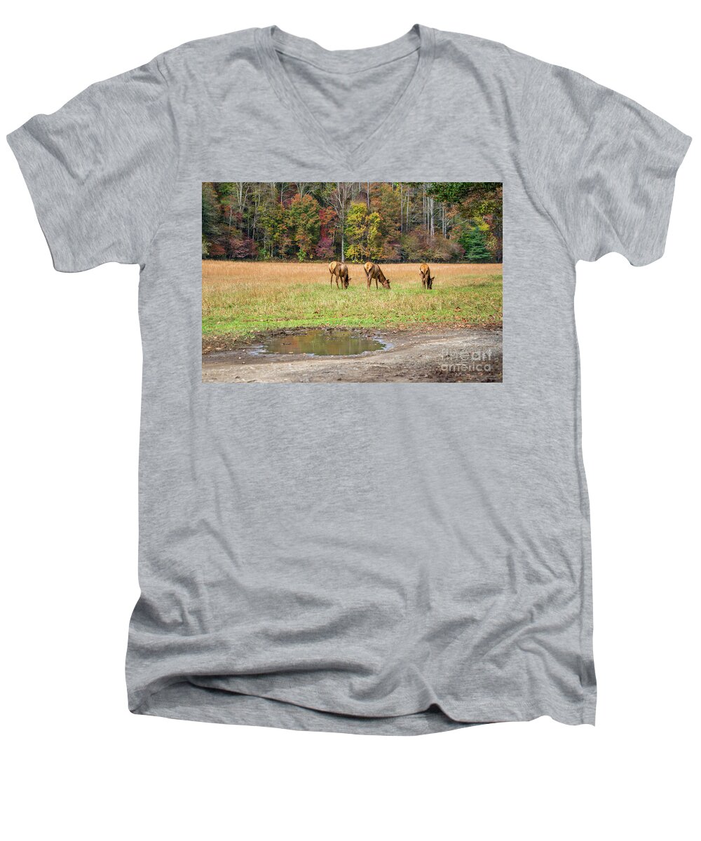 Elk Men's V-Neck T-Shirt featuring the photograph How I Shoot Elk by Cathy Donohoue