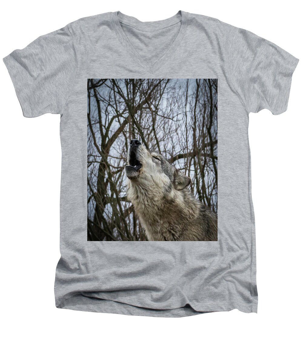 Wolf Wolves Howling Howl Men's V-Neck T-Shirt featuring the photograph Howlin by Laura Hedien