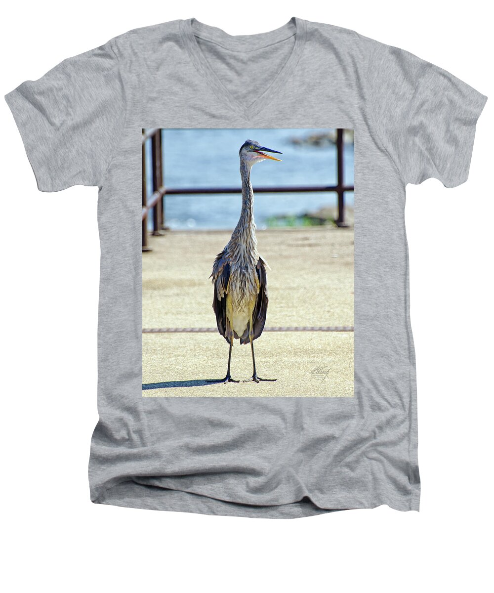 Blue Heron Men's V-Neck T-Shirt featuring the photograph I should've taken a left turn in Albuquerque... by Michael Frank