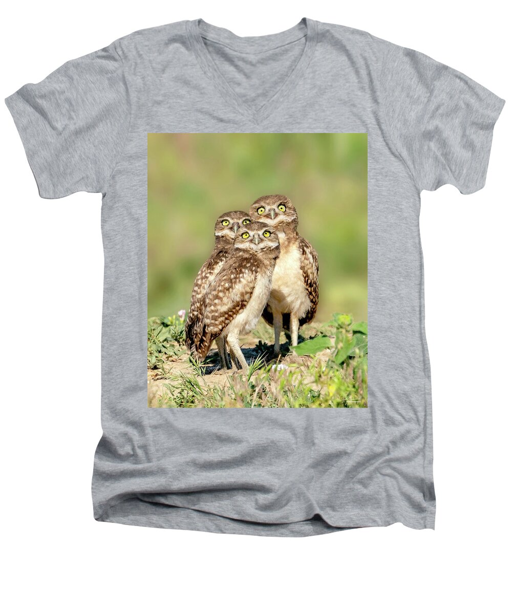 Burrowing Owls Men's V-Neck T-Shirt featuring the photograph It's a plane, it's a bug, it's a bird -- burrowing owl babies by Judi Dressler