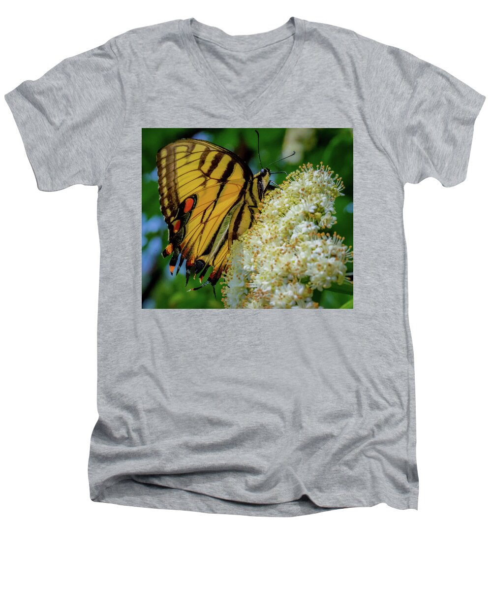 Butterfly Men's V-Neck T-Shirt featuring the photograph Manassas Butterfly by Lora J Wilson