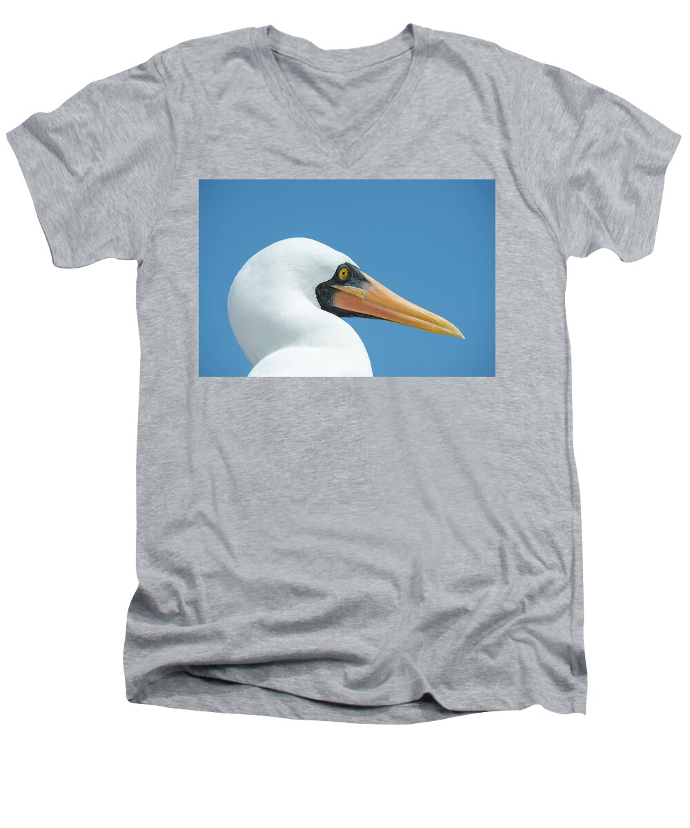 Animals Men's V-Neck T-Shirt featuring the photograph Nazca Booby In Profile by Tui De Roy