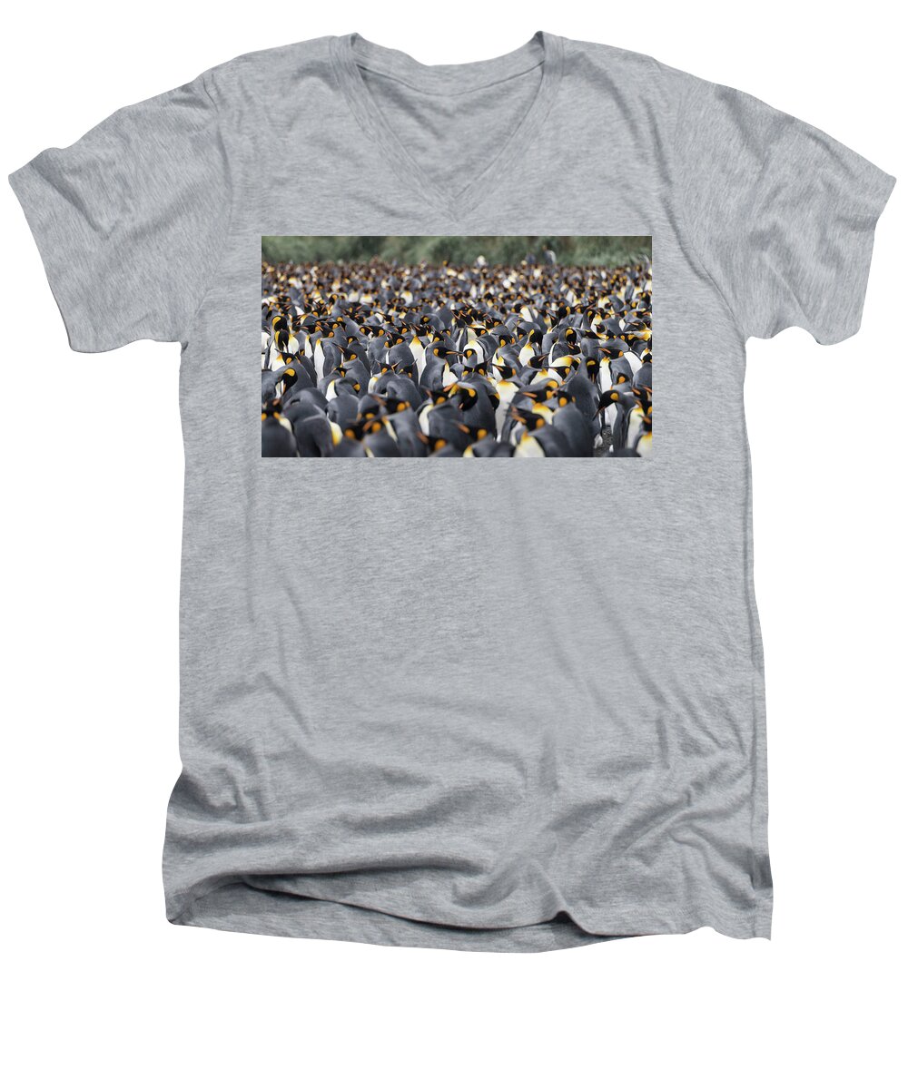 Penguins Men's V-Neck T-Shirt featuring the photograph Penguinscape by Alex Lapidus