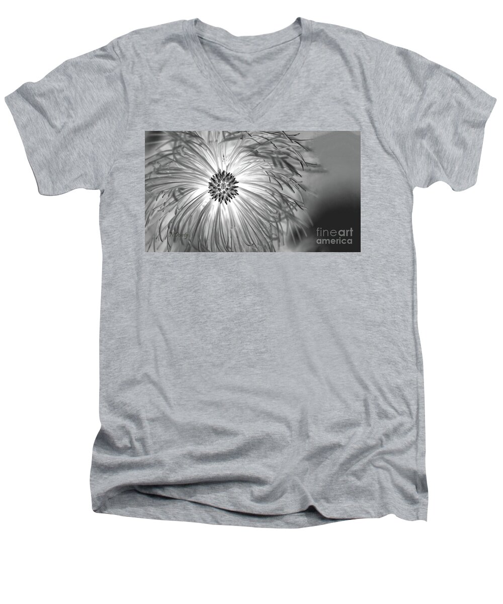 Ine Cone With Needle Halo Men's V-Neck T-Shirt featuring the photograph Pine Cone with Needle Halo by Natalie Dowty