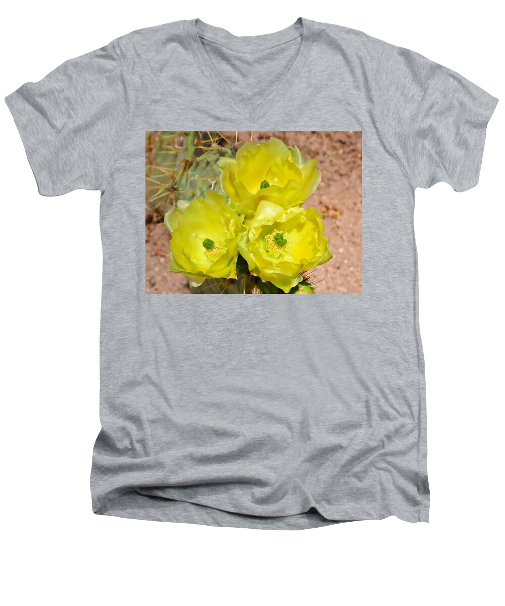 Arizona Men's V-Neck T-Shirt featuring the photograph Prickly Pear Cactus Trio Bloom by Judy Kennedy