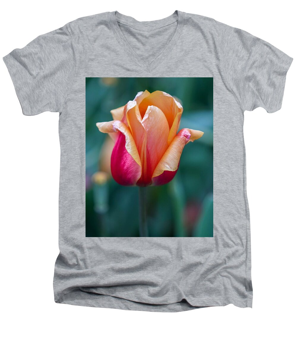 Beautiful Men's V-Neck T-Shirt featuring the photograph Shimmering Tulip by Susan Rydberg
