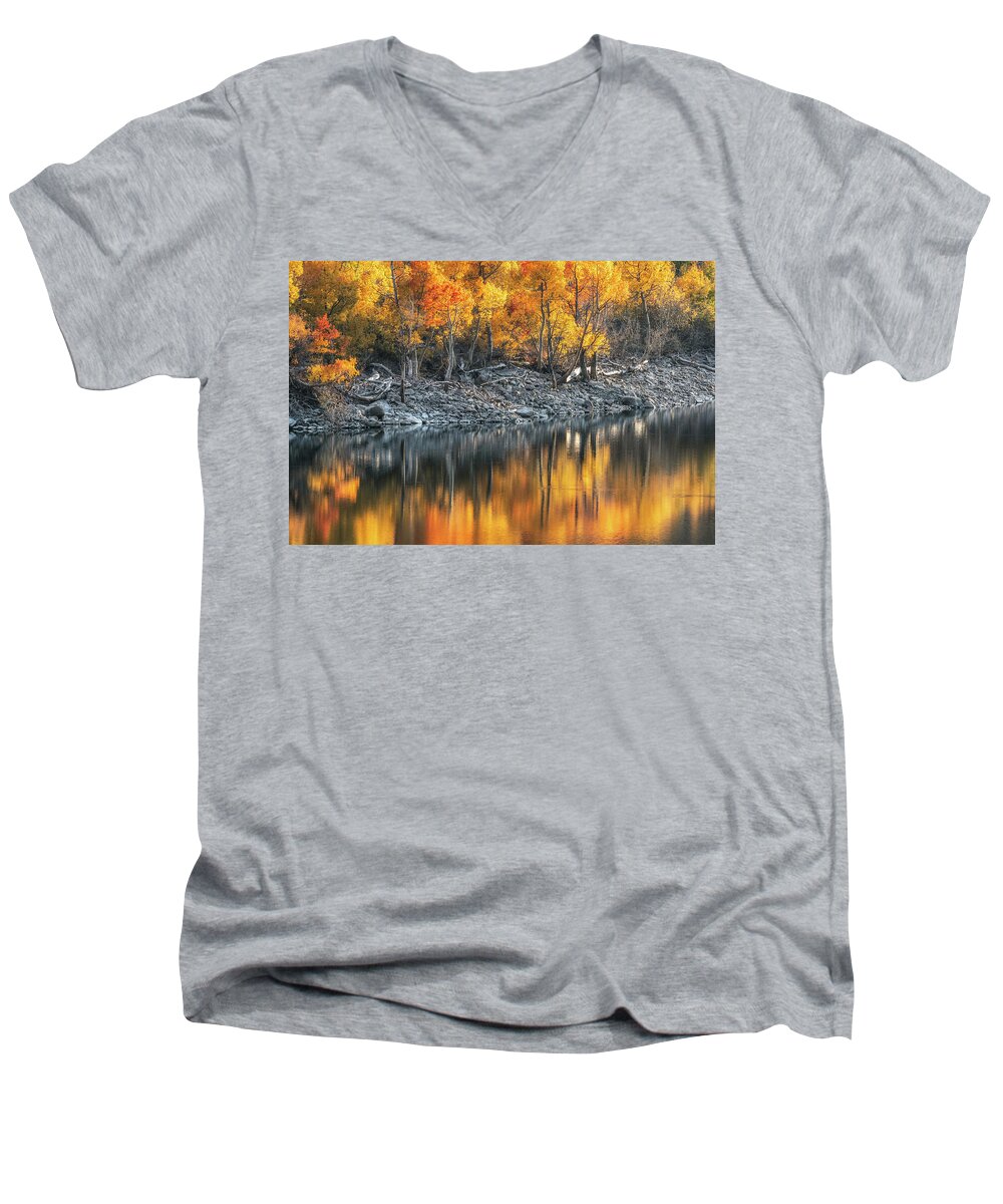 Tree Men's V-Neck T-Shirt featuring the photograph Silver and Gold by Laura Roberts