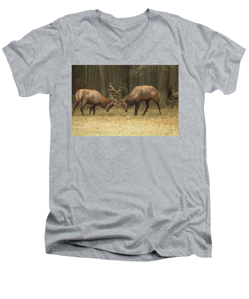 Wildlife Men's V-Neck T-Shirt featuring the photograph Sparring by Bob Cournoyer