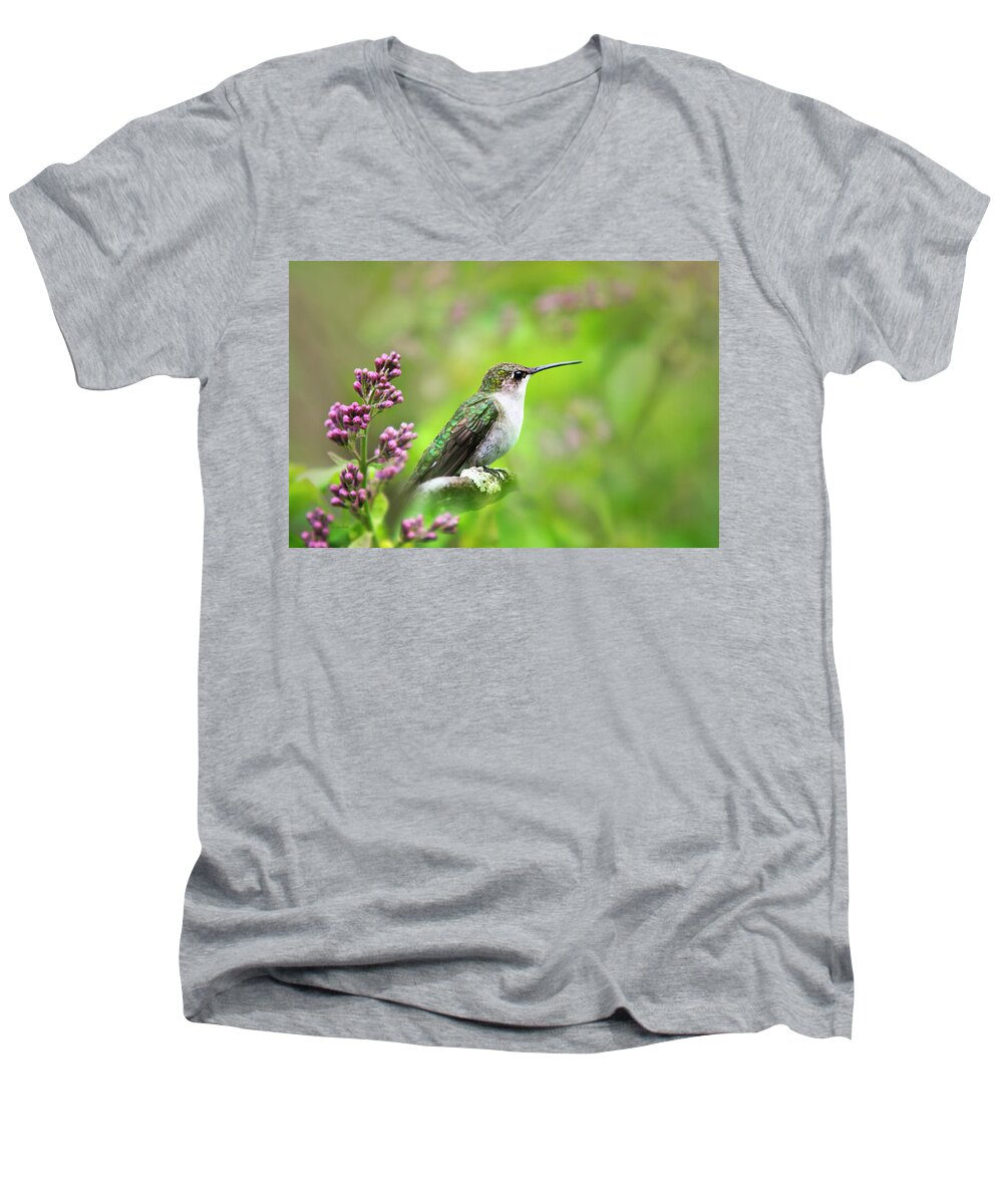 Hummingbird Men's V-Neck T-Shirt featuring the photograph Spring Beauty Ruby Throat Hummingbird by Christina Rollo