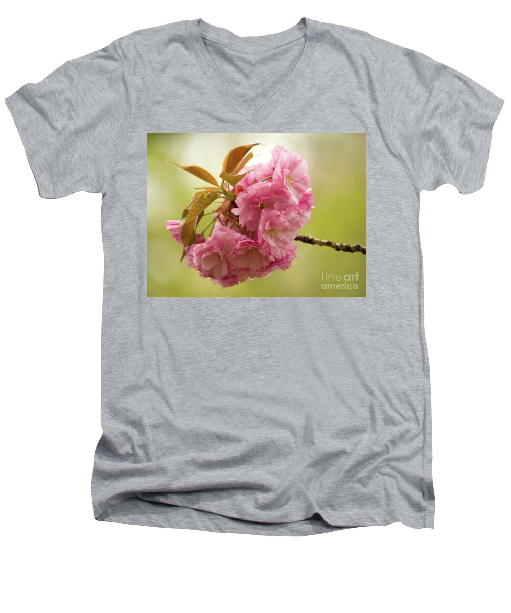 Central Park Men's V-Neck T-Shirt featuring the photograph Springtime Blossoms In Central Park 3 by Dorothy Lee