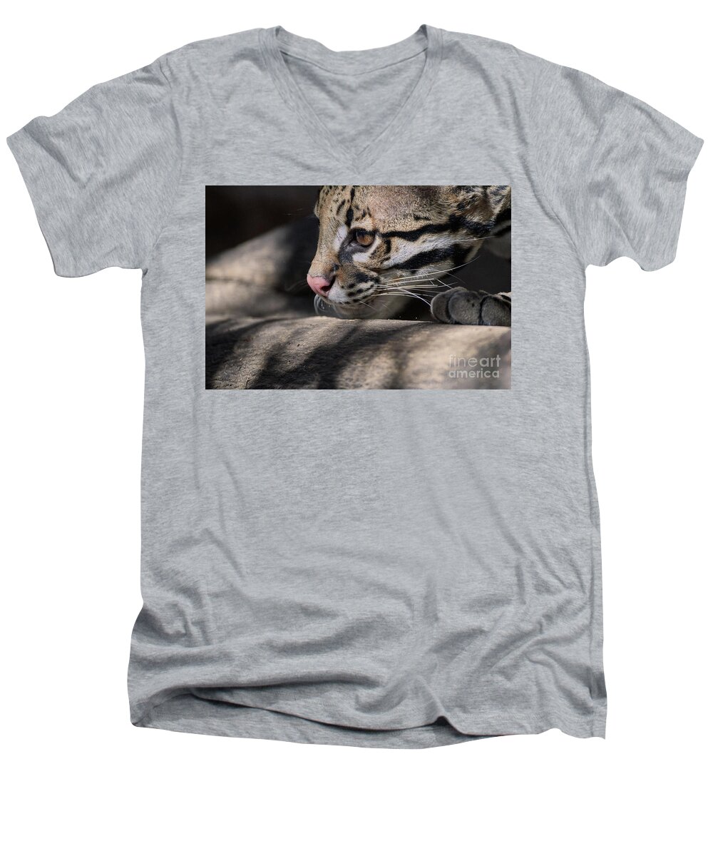 Cat Men's V-Neck T-Shirt featuring the photograph Studying by Robert WK Clark