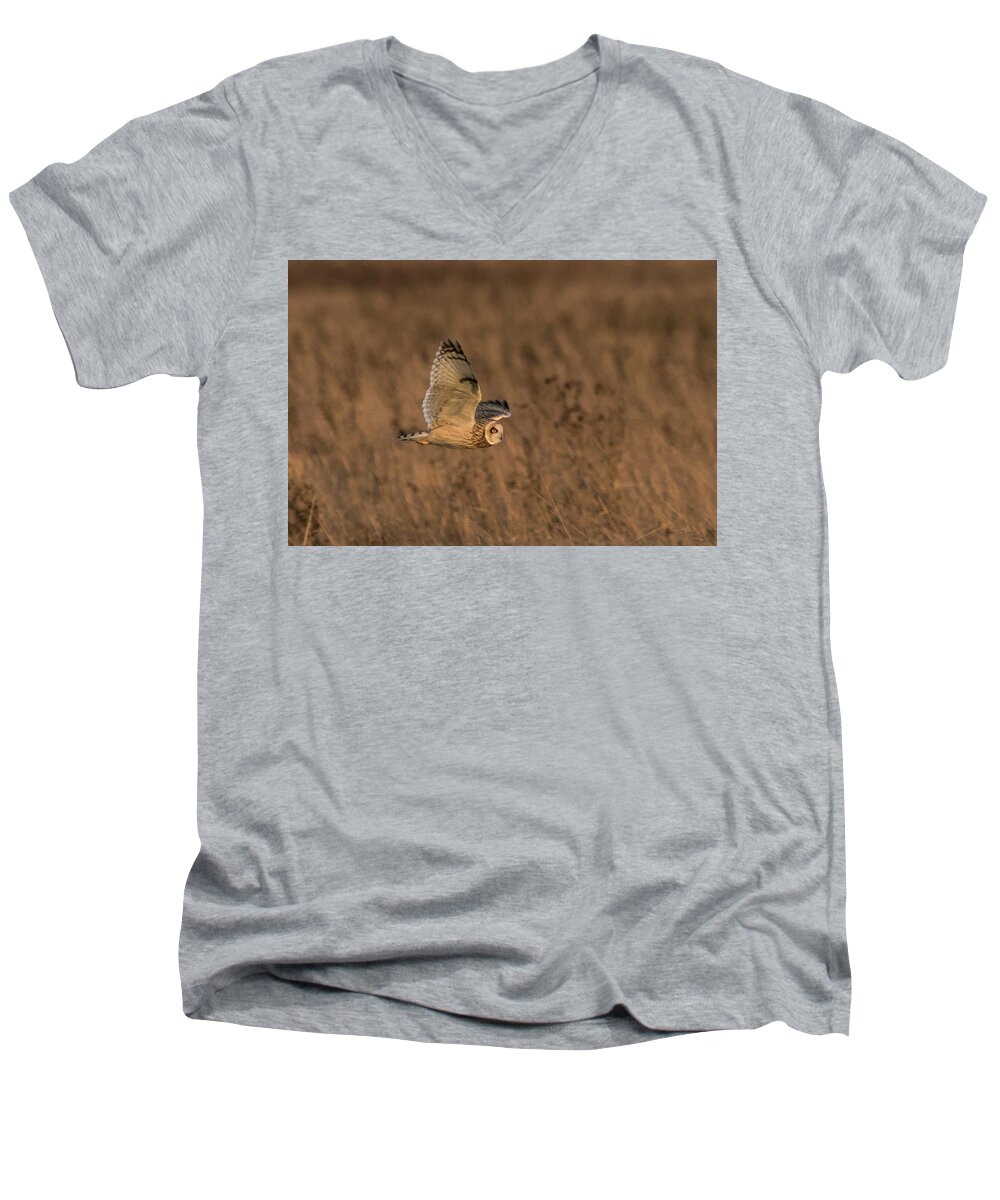 Short Eared Owl Men's V-Neck T-Shirt featuring the photograph Sundown Flyby by Wendy Cooper
