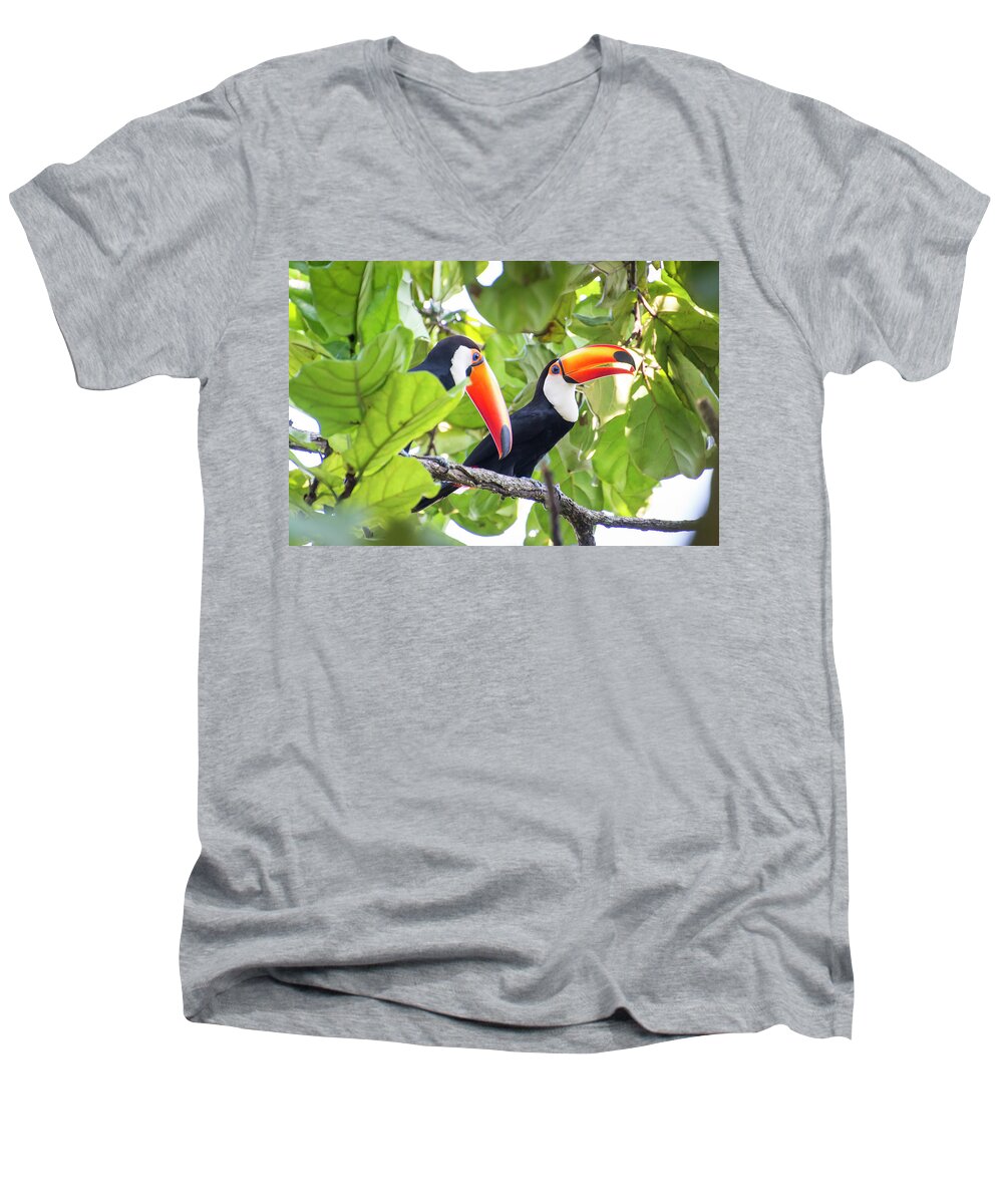 Toucan Men's V-Neck T-Shirt featuring the photograph Two Can by Alex Lapidus