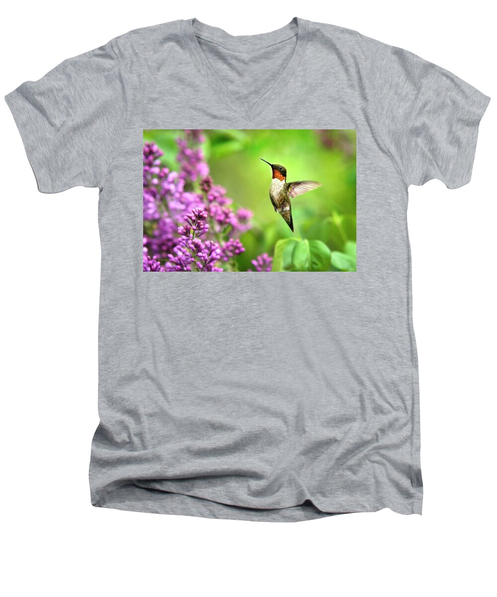 Hummingbird Men's V-Neck T-Shirt featuring the photograph Welcome Home Hummingbird by Christina Rollo