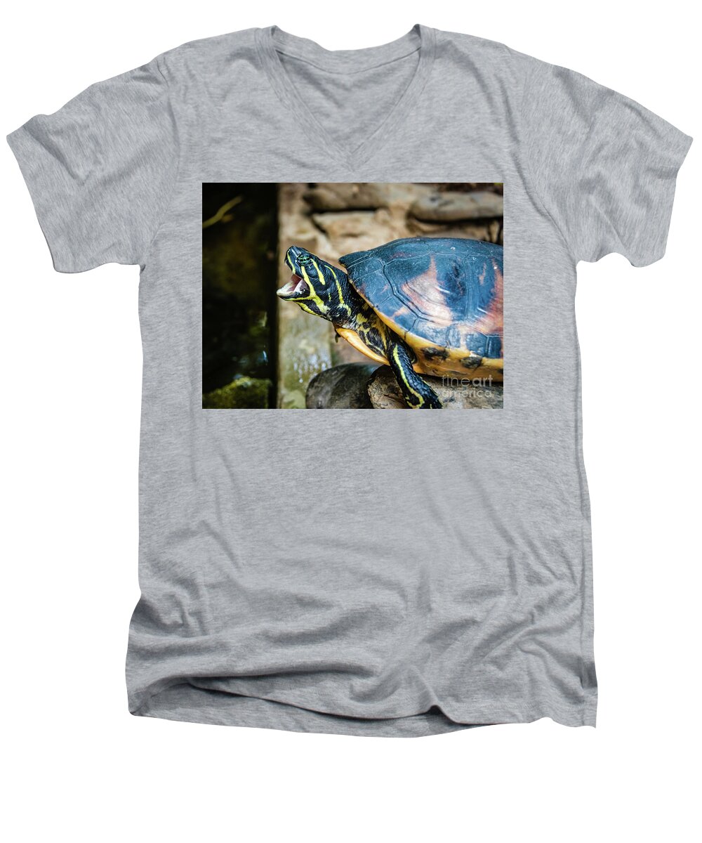 Turtle Men's V-Neck T-Shirt featuring the photograph Yawning black and yellow water turtle by Lyl Dil Creations