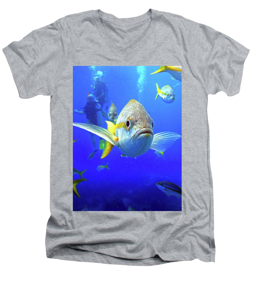 Yellowtail Snapper Men's V-Neck T-Shirt featuring the photograph Yellowtails by Climate Change VI - Sales