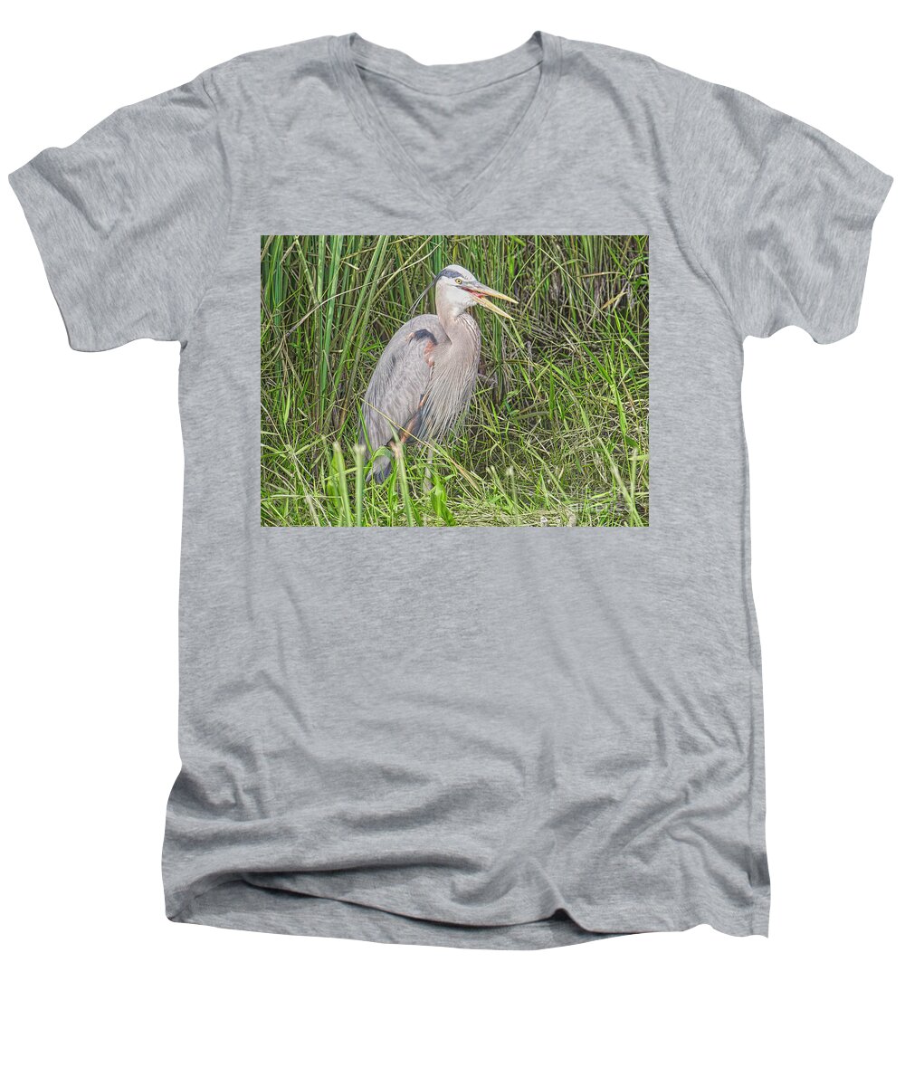 Birds Men's V-Neck T-Shirt featuring the photograph Young Heron by Judy Kay