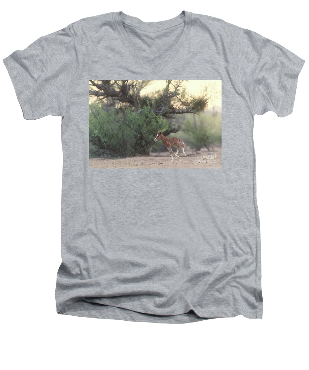 Cute Men's V-Neck T-Shirt featuring the photograph Zoomies by Shannon Hastings