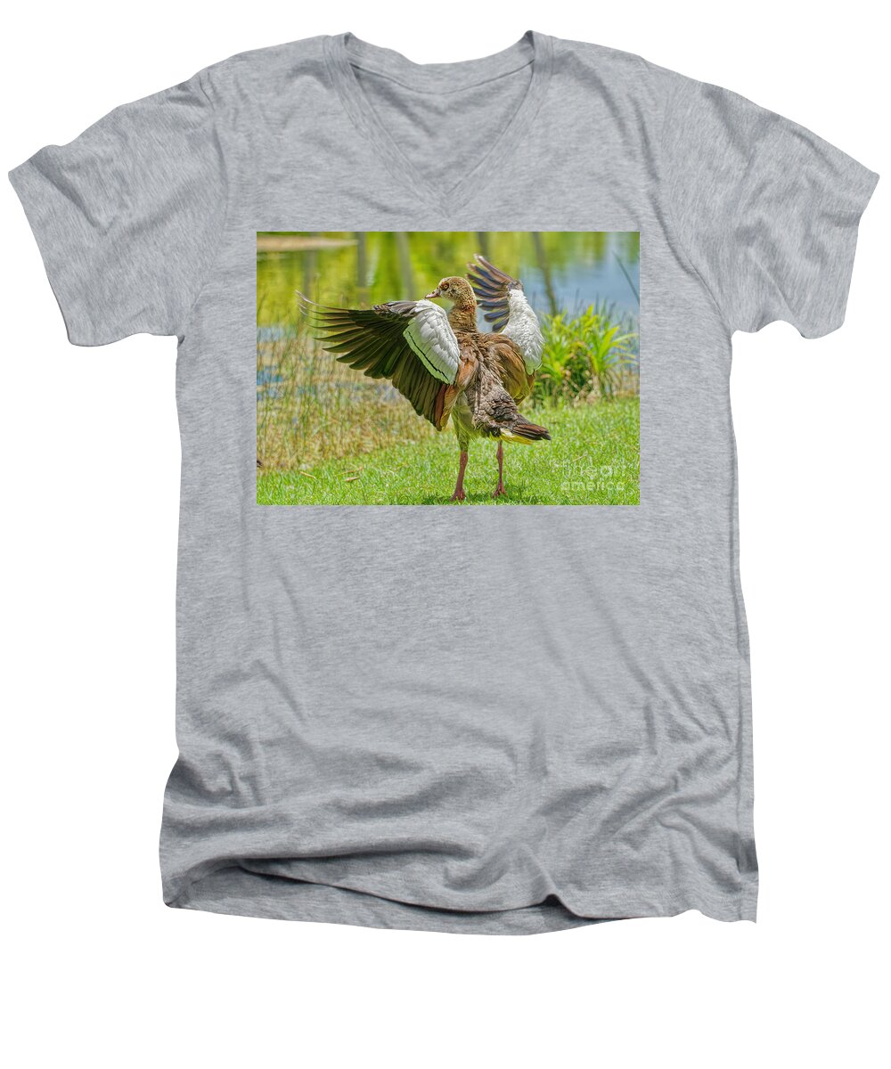 Alopochen Aegyptiaca Men's V-Neck T-Shirt featuring the photograph After the Swim #1 by Judy Kay