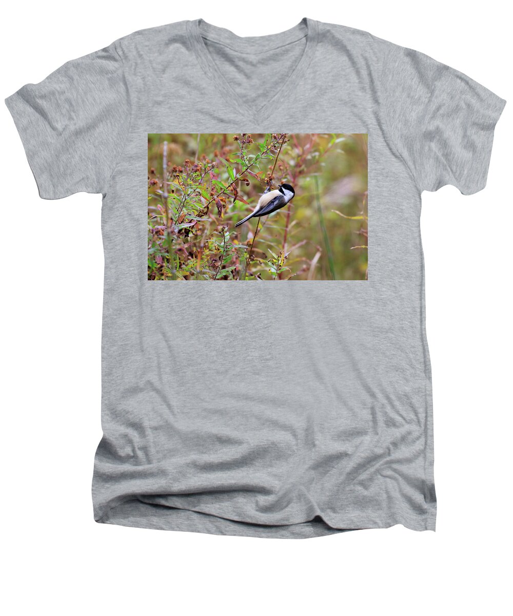 Chickadee Men's V-Neck T-Shirt featuring the photograph Black-capped Chickadee #1 by Gary Hall