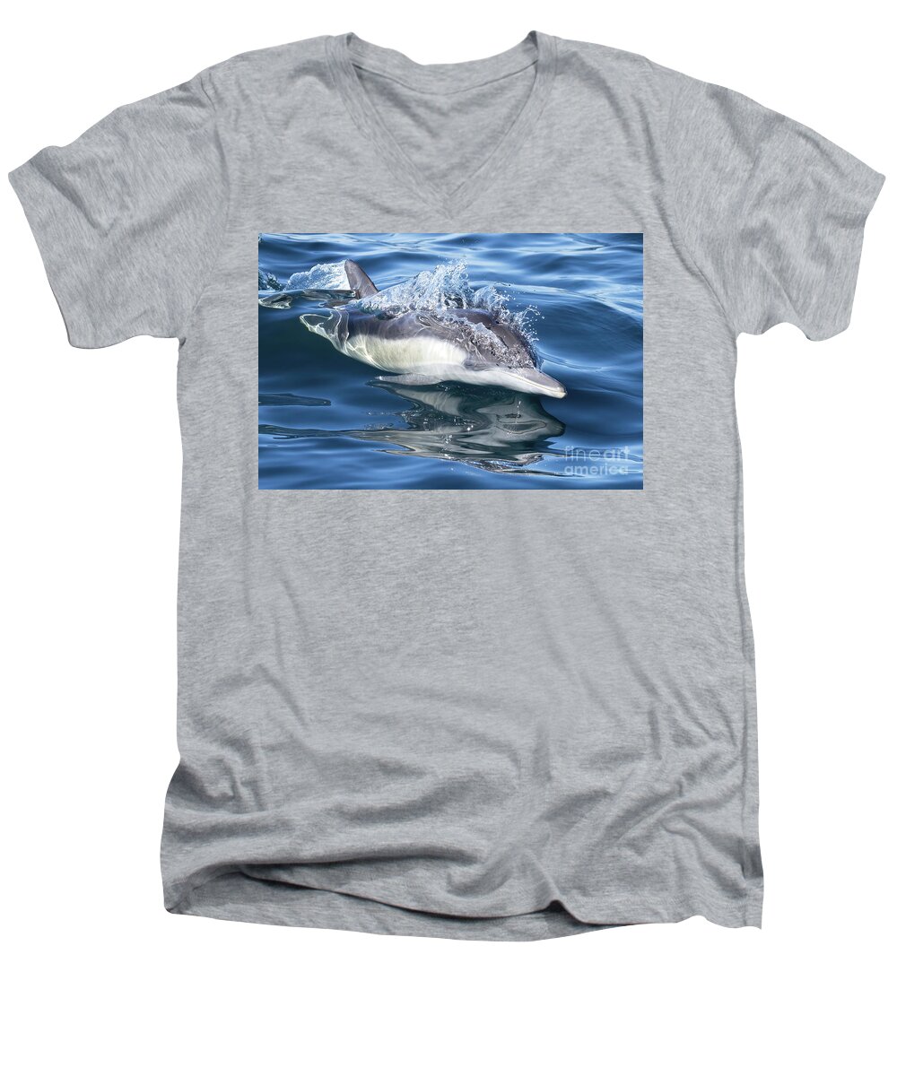 Danawharf Men's V-Neck T-Shirt featuring the photograph Cruising Dolphin #1 by Loriannah Hespe