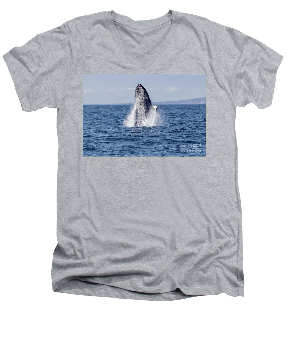 Dana Wharf Men's V-Neck T-Shirt featuring the photograph Humpback Whale Breaching #1 by Loriannah Hespe