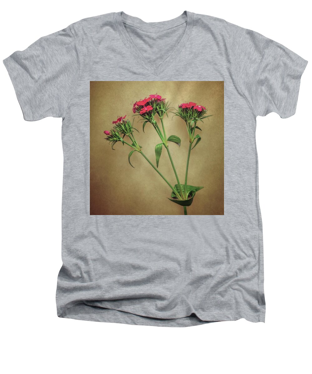 Rose Men's V-Neck T-Shirt featuring the photograph 3 Blooms by Steve Kelley