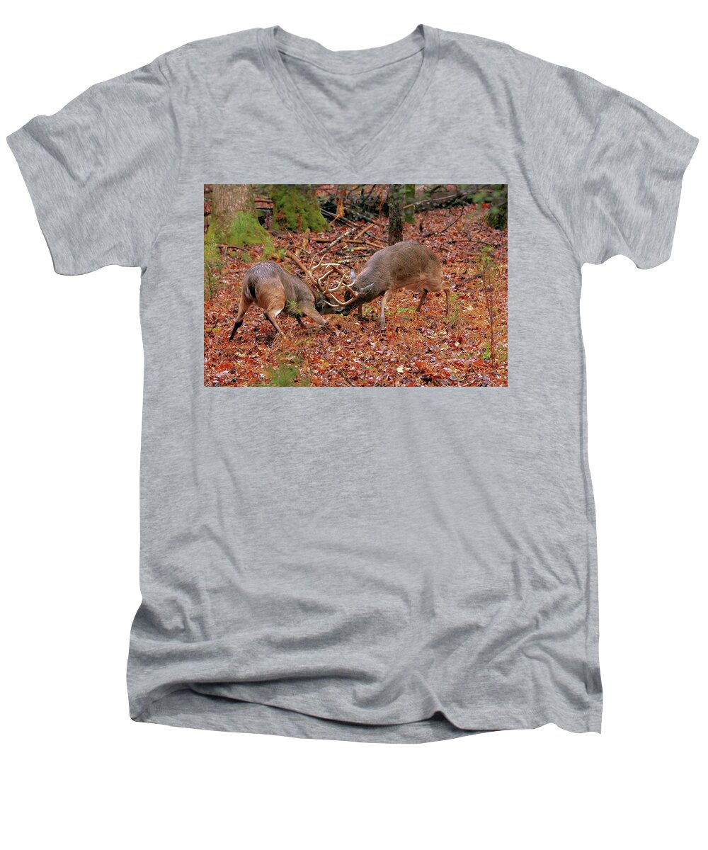 Rut Men's V-Neck T-Shirt featuring the photograph Whitetail In Rut by Doug McPherson