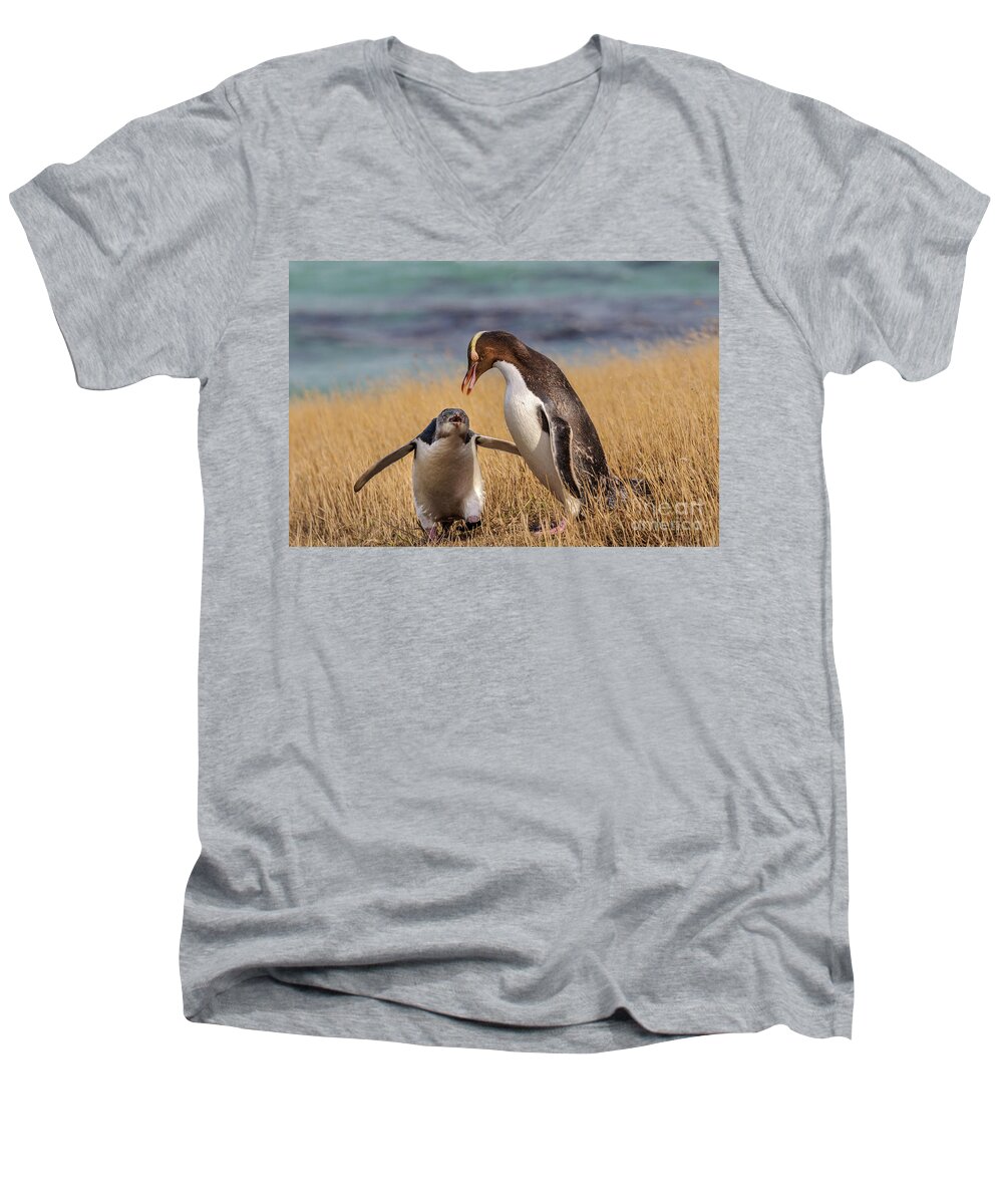 Penguin Men's V-Neck T-Shirt featuring the photograph Anticipation by Werner Padarin