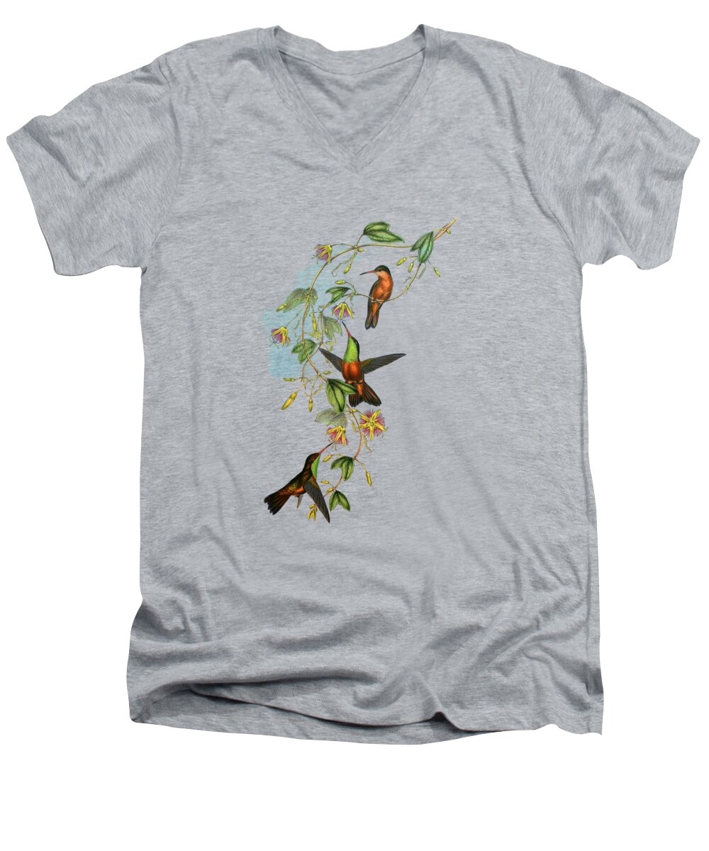 Hummingbird Men's V-Neck T-Shirt featuring the digital art Antique Hummingbirds Illustration by Madame Memento