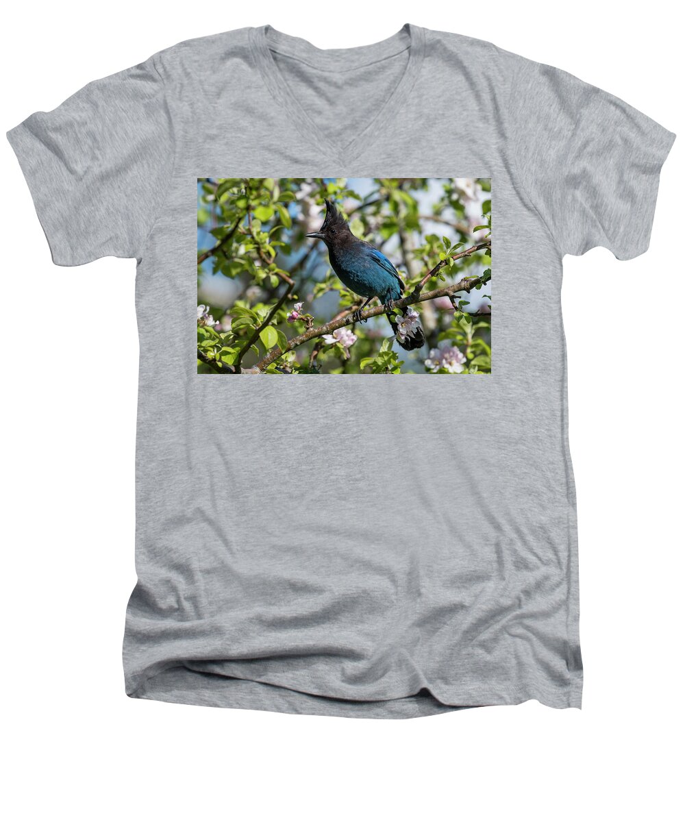 Afternoon Men's V-Neck T-Shirt featuring the photograph Apple Tree With Jay by Robert Potts