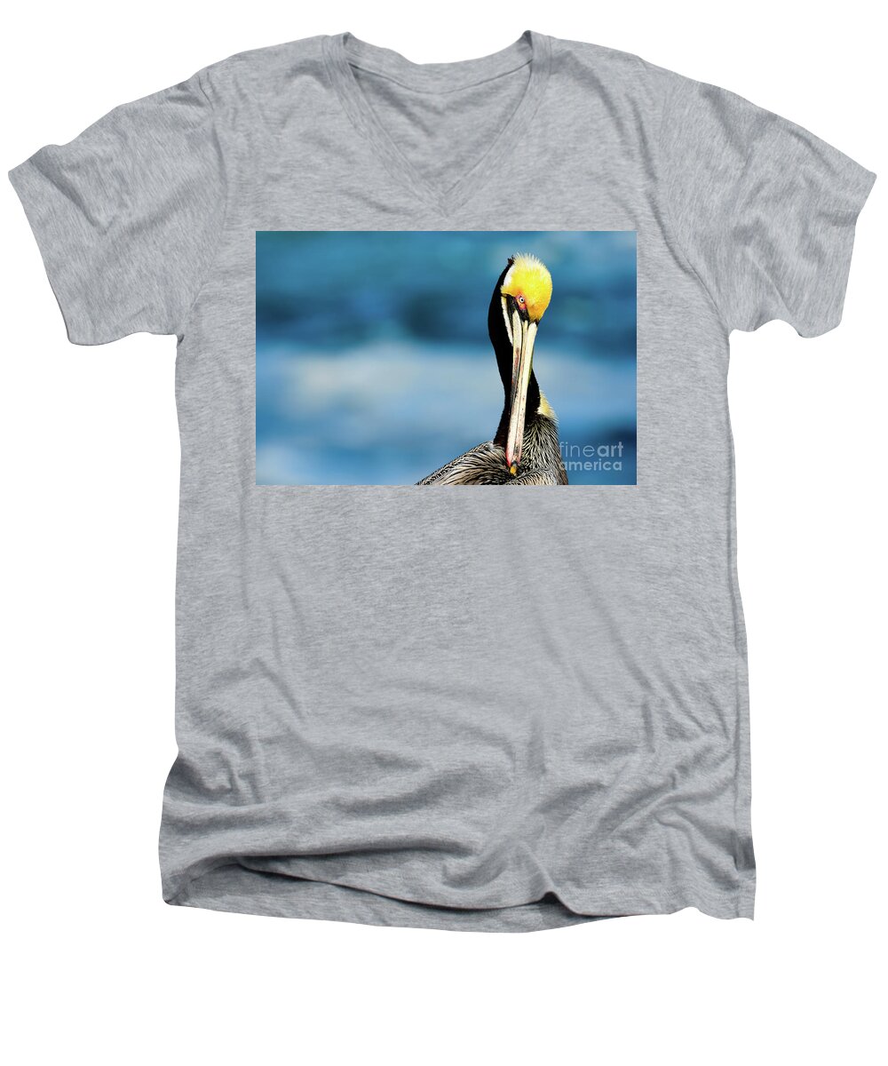 Brown Pelicans Men's V-Neck T-Shirt featuring the photograph Aqua California 2021 by John F Tsumas