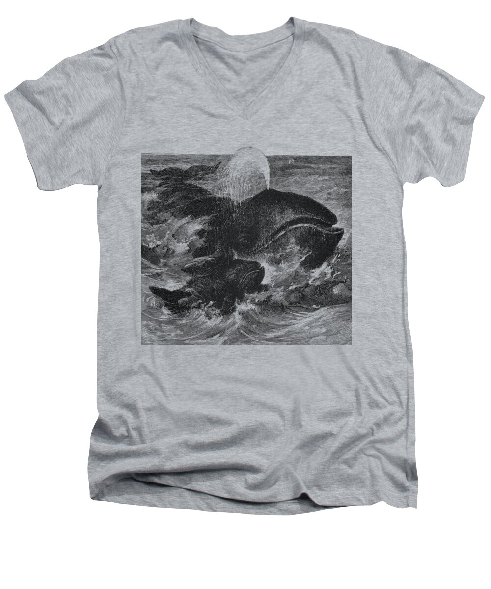 Whale Men's V-Neck T-Shirt featuring the digital art Save The Ocean by Madame Memento