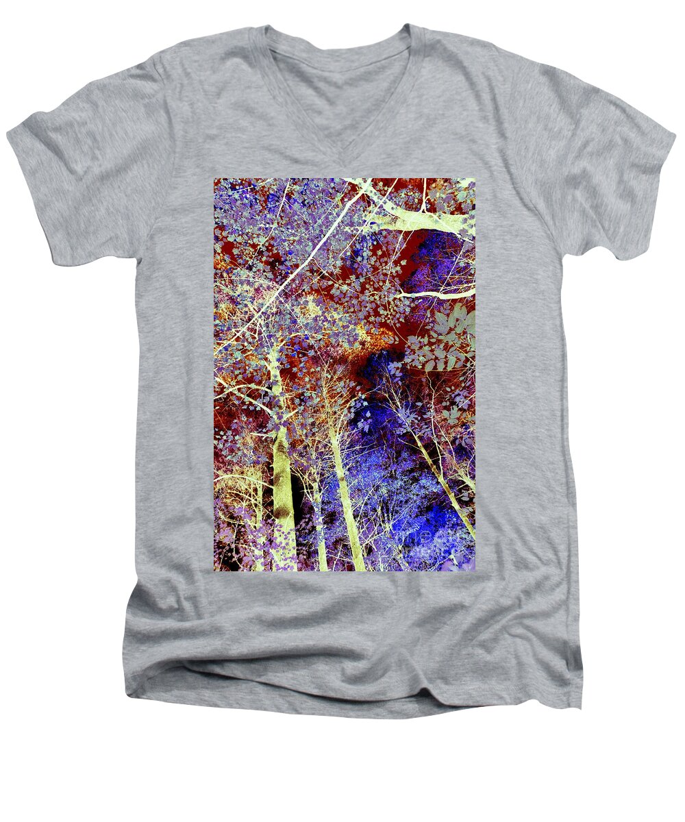Autumn Men's V-Neck T-Shirt featuring the photograph Autumn Collage Abstract by Terri Gostola